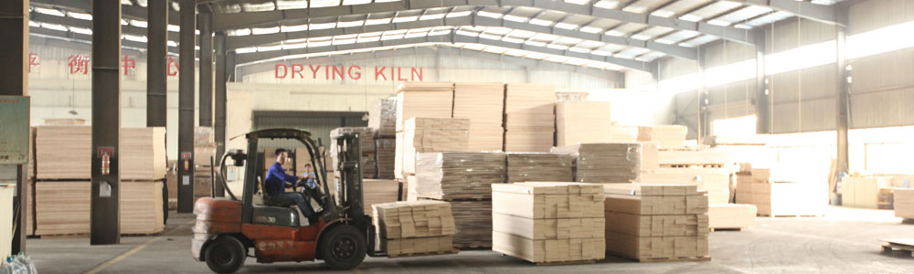 hình đại diện1