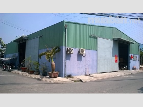 CHO THUÊ NHÀ XƯỞNG HÓC MÔN. -